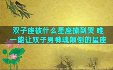双子座被什么星座撩到哭 唯一能让双子男神魂颠倒的星座